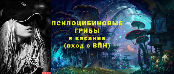прущие крисы Абаза