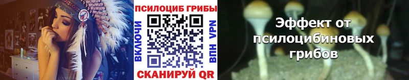Псилоцибиновые грибы Cubensis  Нариманов 